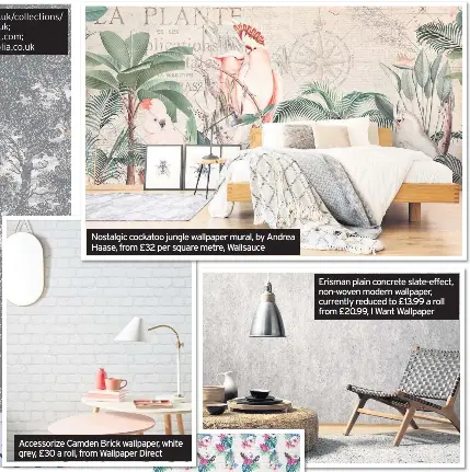  ??  ?? Nostalgic cockatoo jungle wallpaper mural, by Andrea Haase, from £32 per square metre, Wallsauce Erisman plain concrete slate-effect, non-woven modern wallpaper, currently reduced to £13.99 a roll from £20.99, I Want Wallpaper