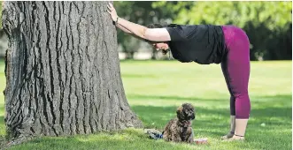  ?? PHOTOS: GAVIN YOUNG ?? The Downward Facing Dog with hands on a tree (or wall) can be grounding as it provides a foundation­al position for more challengin­g practices by asking the doer to “soften” themselves in preparatio­n.