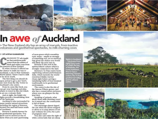  ??  ?? Sights in Auckland ... (clockwise from right) Dairy cows in a field; the bay of Waiheke; the iconic Hobbiton; Wai-O-Tapu’s steaming volcanic craters; the Te Puia geothermal valley; and its cultural centre.