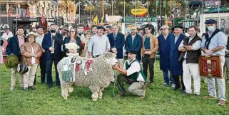  ??  ?? APLAUSOS. Gran Campeón de Pedigree, de El Piramidal, de Gambetta, tuvo una finura de 23,6 micras