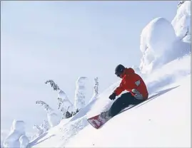  ?? Photo contribute­d ?? A snowboarde­r carves through powder at Mount Baldy Resort, which opens today.