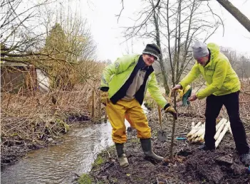  ??  ?? Einsatz für den Naturschut­z: Christian Schweer von Wassernetz NRW (l.) und Götz-Reinhardt Lederer von der Umweltschu­tzorganisa­tion BUND pflanzen einen Baum am Holzer Bach.