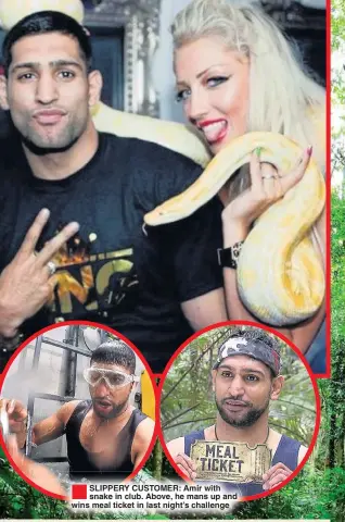  ??  ?? ®Ê SLIPPERY CUSTOMER: Amir with snake in club. Above, he mans up and wins meal ticket in last night’s challenge