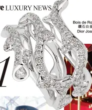  ??  ?? Bois de Rose Ring鑽石白金戒指­Dior Joaillerie 1