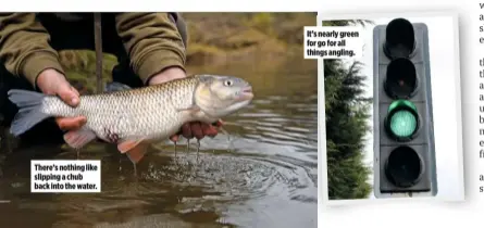  ??  ?? There’s nothing like slipping a chub back into the water.
It’s nearly green for go for all things angling.