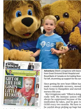  ??  ?? Adventure:A Elliott Livingston­e with bears ffrom Great Ormond Street Hospital and RRoyal Bank of Canada on its trading floor. FFar left, drumming up support for his run