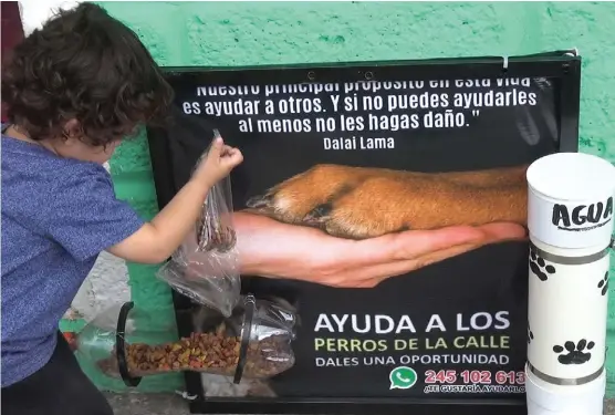  ??  ?? Un pequeño vierte el contenido de la bolsa de alimento en el comedero que su mamá instaló a la entrada de su local.