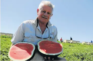  ?? Pictures: RIAAN MARAIS ?? FULL-TIME OPERATION: Kirkwood citrus farmer Hannes Joubert also produces watermelon­s