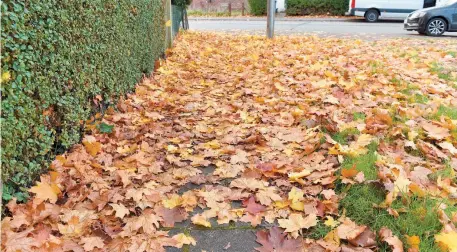  ?? ?? Piles of leaves in Larchfield Road. Ref:134027-8