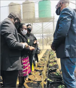  ??  ?? Start-ups… Sports and youth minister Agnes Tjongarero and other officials officiate at the launch of the horticultu­re youth income-generating project at Dordabis.
