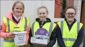  ??  ?? TY students, Niamh Lambert and Cayleigh O’Brien-Doyle (Colaiste Bride) and Lily Byrne (Enniscorth­y VC) volunteeri­ng in the Market Square for Cystic Fibrosis Awareness Day.