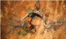  ??  ?? A stricken olive tree in a field belonging to the Mediterran­ean Agronomic Institute (CNR) in Apulia, Italy, used for research into the disease. Photograph: Charles Onians/ AFP/Getty Images