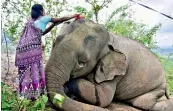  ?? —PTI ?? A village woman pays tribute a wild elephant which is believed to have died after Thursdays lightning strike, at Bamuni hills in Nagaon district, on Friday.