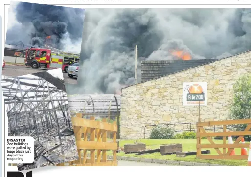  ??  ?? DISASTER Zoo buildings were gutted by huge blaze just days after reopening