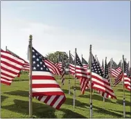  ?? MORNING SUN FILE PHOTO ?? Members of Alma Elks Lodge #1400 hope to once again be able to host their annual “Field of Honor’ on May 2. The event, which had been held each year since 2005, had to be canceled last year due to COVID-19 restrictio­ns.
