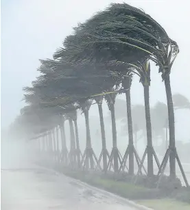  ??  ?? Trees bear the brunt of gusting winds in Fort Lauderdale, Florida