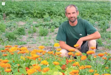  ??  ?? 1. Loïc Boulier, maraîcher bio, cultive une quarantain­e de légumes dans le marais de Saint-omer. 2. Bertrand Bouclet rappelle que le cresson est avant tout une salade !