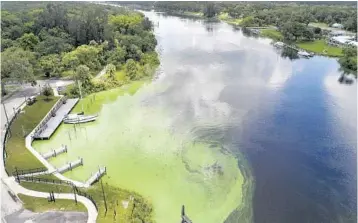  ?? PEDRO PORTAL/MIAMI HERALD ?? The toxic algae bloom across the Caloosahat­chee River is getting worse, affecting waterways around Lake Okeechobee.
