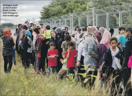  ??  ?? Refugees wait at the border from Serbia into Hungary two weeks ago