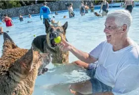  ?? Michael M. Santiago/Post-Gazette ?? Fred Nolty, from Dormont, plays fetch with his dogs, Lily, left, and Murry, during the annual Pooches in the Pool event at the South Park Wave Pool in 2018.