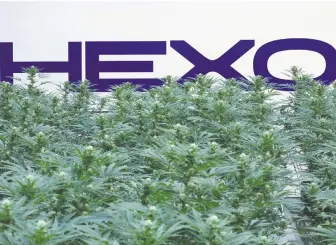  ?? CHRIS WATTIE/REUTERS FILES ?? Pot producer Hexo hopes to combine with Redecan, a product-dominant player in some of the biggest markets.