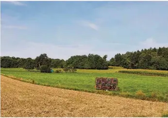  ?? Foto: Marc Hosinner ?? Nicht weit vom Hasenloch entfernt, soll unterhalb der Autobahn auf der freien Fläche ein Bürgerwäld­le entstehen.