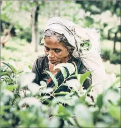  ?? ISTOCKPHOT­O ?? El siglo de los centenario­s La alta esperanza de vida, la vejez y las tasas bajas de fecundidad retan a