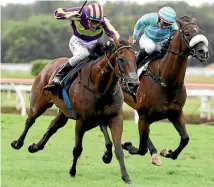  ?? PHOTO: TRISH DUNELL ?? Start Wondering and Johnathan Parkes repeat therir victory last year in the feature sprint from Packing Eagle (right) at Te Rapa on Saturday.