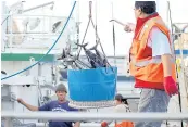  ??  ?? A SORRY TALE: Fishermen unload a catch from a commercial fishing boat at Pier 38 in Honolulu. Hawaii authoritie­s may have been violating their own state laws by issuing commercial fishing licences to foreign workers refused entry to the US.