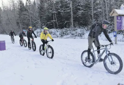  ?? FILE ?? Fat biking in the Railyard is one of Truro’s major wintertime draws.