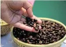  ?? /Reuters ?? Fast beans: India produces mainly robusta coffee beans, which are mainly used for instant coffee in European countries.