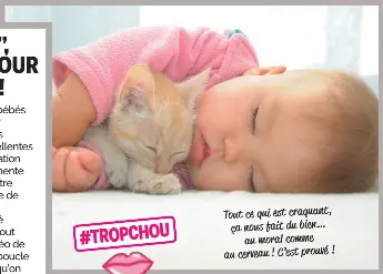 Le Mignon C Est Bon Pour Le Cerveau Pressreader