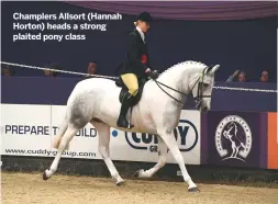  ??  ?? Champlers Allsort (Hannah Horton) heads a strong plaited pony class