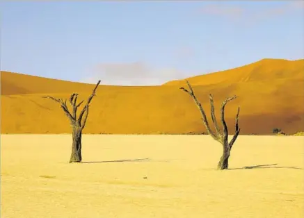  ?? Photograph­s by Amanda Jones ?? TREES that died hundreds of years ago stand in the too-dry-for-decomposin­g Deadvlei of Namibia’s Namib-Naukluft National Park.