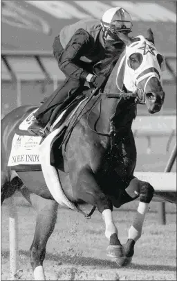  ?? BARBARA D. LIVINGSTON ?? Kentucky Derby entrant Noble Indy is by Take Charge Indy, who stood at WinStar and then was sold to Korean interests.