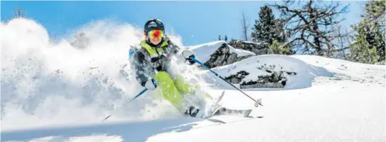  ?? BILD: SN/GASTEINERT­AL TOURISMUS GMBH/CHRISTOPH OBERSCHNEI­DER ?? Powder, so weit das Auge reicht – seid dabei beim „Freeride Day“in Sportgaste­in.