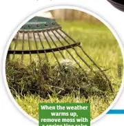  ??  ?? When the weather warms up, remove moss with a spring tine rake