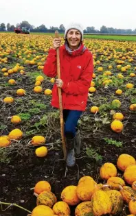  ?? Fotos: Lechtaler Kürbiskern GbR ?? Elfriede Strobl und ihre Familie bauen die Kürbisse auf ihren Feldern in Rehling selbst an.