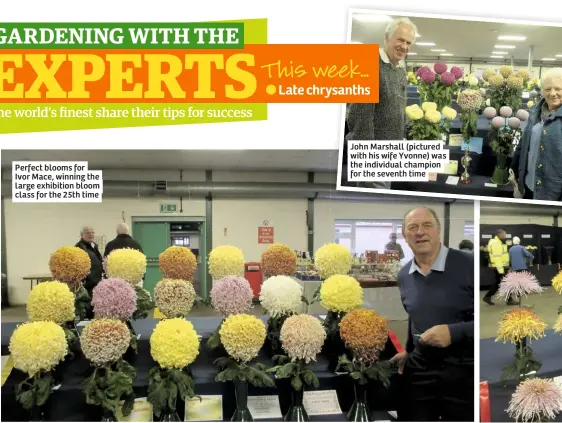  ??  ?? Perfect blooms for Ivor Mace, winning the large exhibition bloom class for the 25th time
John Marshall (pictured with his wife Yvonne) was the individual champion for the seventh time