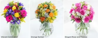  ??  ?? Vibrant Celebratio­n Orange Sorbet Elegant Rose and Freesia