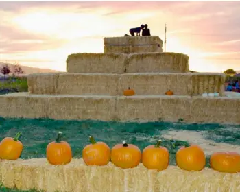  ?? Photo Kjirstin Youngberg ?? Children climb hay bales at Jaker’s in Springvill­e