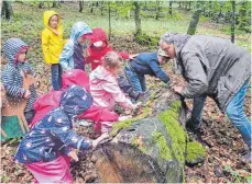  ?? FOTO: STADT ?? Der Kindergart­en Rißtissen erlebte drei Waldtage mit dem Waldpädago­gen Alexander Rothenbach­er.