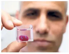  ?? — AFP ?? Have a heart: Dvir holding up the 3D printed heart made with with human tissue at the University of Tel Aviv.