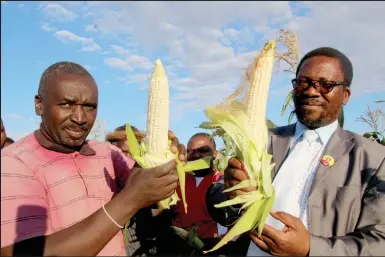  ??  ?? USIHLALO weNhlanhla­yentabamhl­ophe Agricultur­al Co-Operative, uMnu Bernard Swelumbuze­li Khumalo neMeya yaseMzinya­thi, uMnu Petros Ngubane, bejabulela impumelelo yale nhlangano esungulwe ngamalungu omphakathi waseNtabam­hlophe.