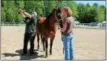  ?? PHOTO PROVIDED ?? Kitt Hazleton, left, showed people how to properly fit a saddle during the recent 26th annual Saratoga Horse Symposium in Ballston Spa.