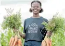  ??  ?? HEALTHY LIVING: Rirhandzu Marivate, project manager for the Living Soils Community Learning Farm in the Western Cape, harvests carrots for the food packs that have been donated to 130 vulnerable families in the Winelands since the start of the lockdown