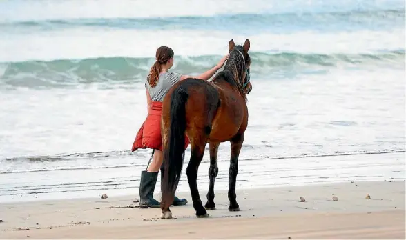  ?? KELLY WILSON ?? Soley Pauls’ wild Kaimanawa mare loves the beach.