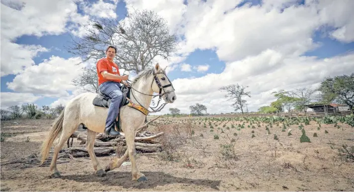  ??  ?? ► Fernando Haddad cabalga por la ciudad de Garanhuns, la tierra natal de Lula en Pernambuco, el sábado pasado.