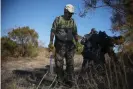  ??  ?? Jesse Barajas searches for the remains of his brother José, who was was dragged from his ranch on 8 April 2019 and has not been seen since, last month near the town of Tecate. Photograph: Emilio Espejel/The Guardian