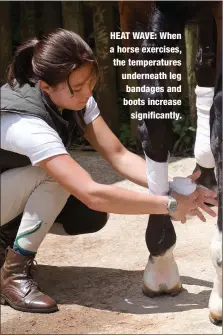  ??  ?? HEAT WAVE: When a horse exercises, the temperatur­es underneath leg bandages and boots increase
significan­tly.